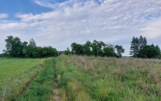 Nieruchomość z siedliskiem