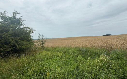 DZIAŁKI BIELKÓWKO/STRASZYN