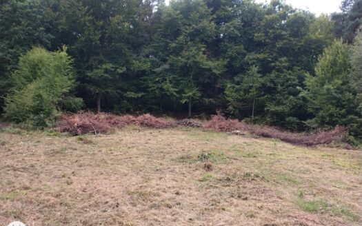 Działka Budowlana Kielce Zalesie