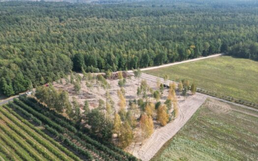 Działki budowlane na sprzedaż|40min od Pruszkowa