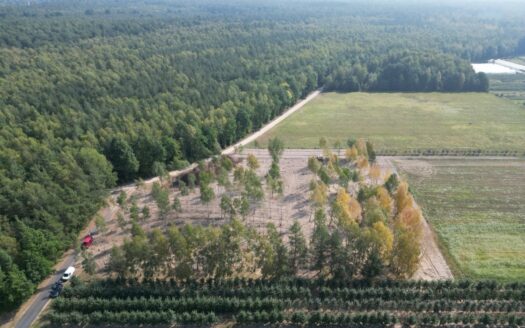 Działki budowlane na sprzedaż|25min od Grodziska