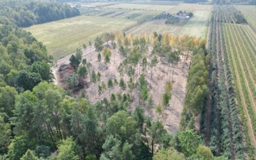 Działki budowlane na sprzedaż|25min od Grodziska