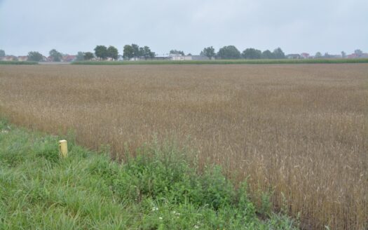 Grunt inwestycy Konarzewo 19498 m2 -bezpośrednio