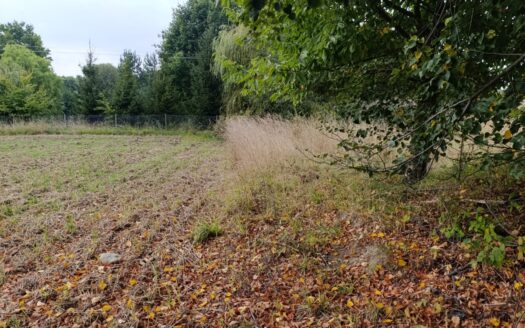 Działka zagrodowa 30ar Janczowice gm. Łagiewniki