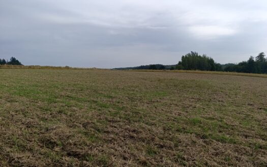 Działka zagrodowa 30ar Janczowice gm. Łagiewniki