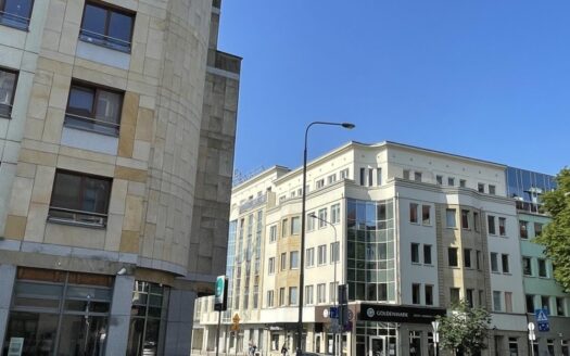 Lokal Handlowo- Usługowy -Biurowy Garbary 74