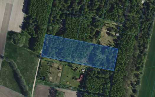 Działka 1,01 ha, Pelagia-Wodzierady pow łaski MPZP