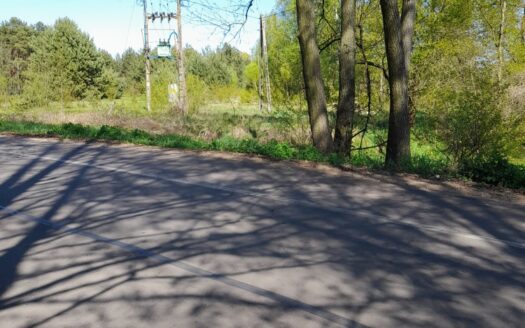 Działka z własnym lasem w cichej okolicy