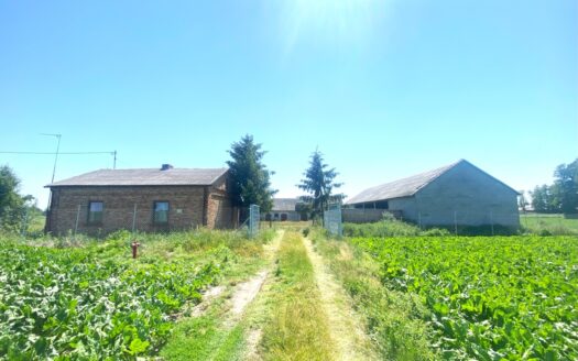 Siedlisko Nowe Sarnowo gmina Dzierzążnia