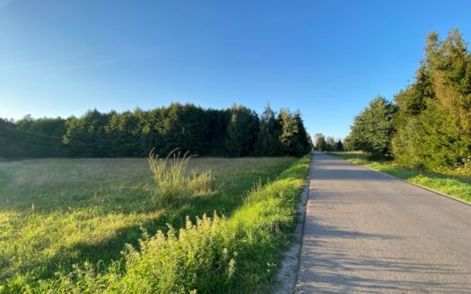 Okazja. Działki rolno-leśne o powierzchni 3 ha.