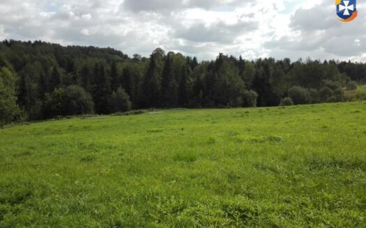 Działka rekreacyjna/rolna 81a (8100m2) Glinik Górny