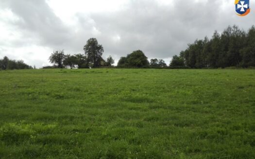 Działka rekreacyjna/rolna 81a (8100m2) Glinik Górny