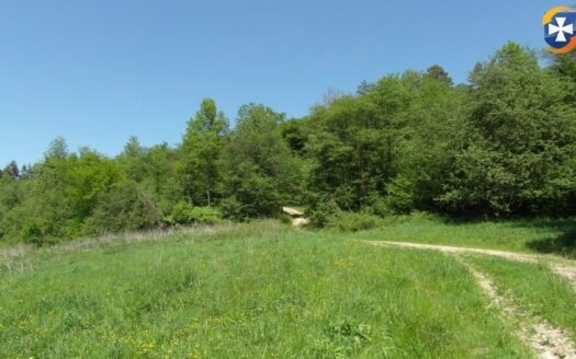 Działka rolno/rekreacyjna 61a (6100m2) Żohatyn