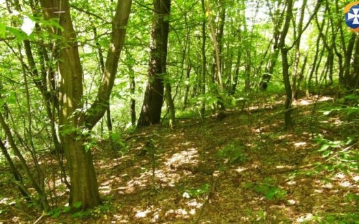 Działka rolno/rekreacyjna 61a (6100m2) Żohatyn