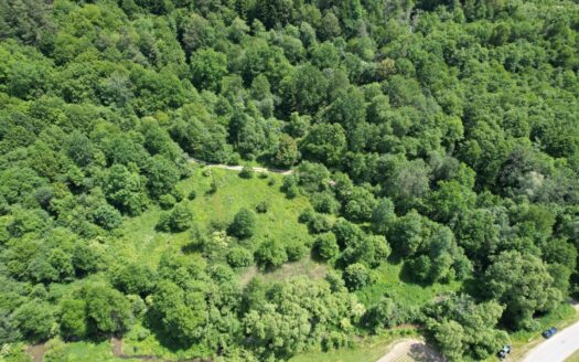 Działka rolno/rekreacyjna 61a (6100m2) Żohatyn