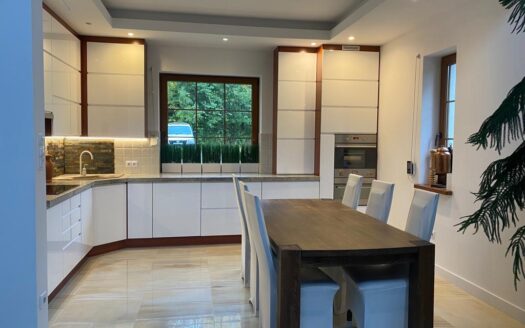 Dom z dużym garażem pod np. E-sklep, magazyn