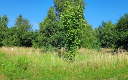 Działka z gotowymi WZ pod Twój dom