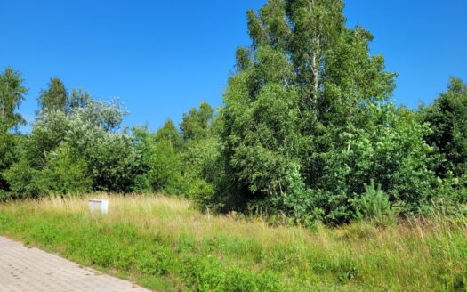 Działka z gotowymi WZ pod Twój dom