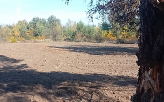 Zarób na CPK – niektórzy już zarabiają!…;)