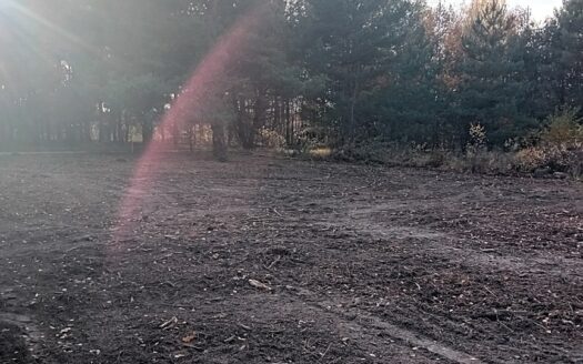 Zarób na CPK – niektórzy już zarabiają!…;)