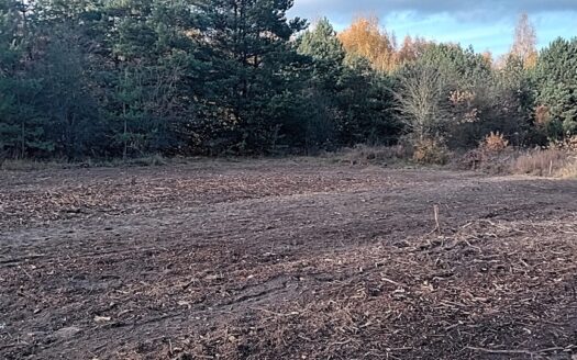 Zarób na CPK – niektórzy już zarabiają!…;)