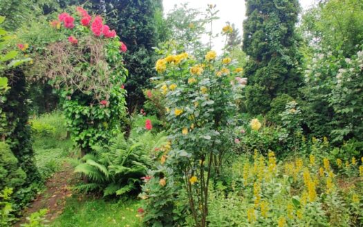 Dom w Super Lokalizacji w Zabrzu