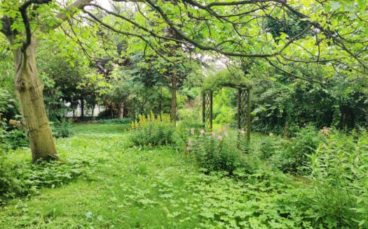 Dom w Super Lokalizacji w Zabrzu