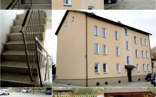 Klimatyczne mieszkanie do wynajęcia.