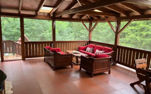 Dom w otoczeniu zieleni duży garaż np. pod E-sklep