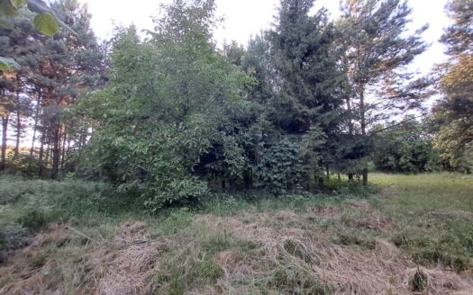 Działka budowlana – Strzyżowice – bezpośrednio