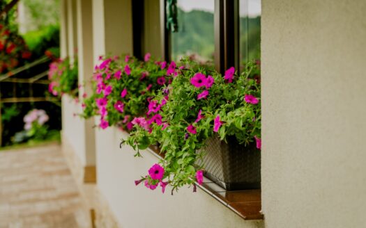 Sprzedam dom jednorodzinny