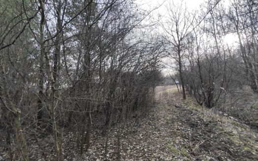 Działka 3000m2 Wielopole, gm. Olesno