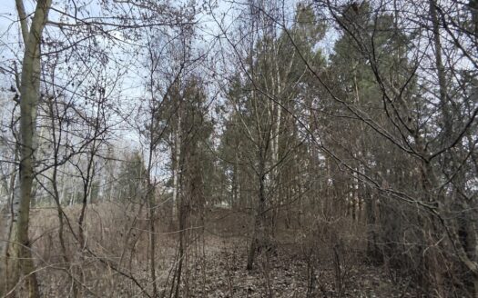 Działka 3000m2 Wielopole, gm. Olesno