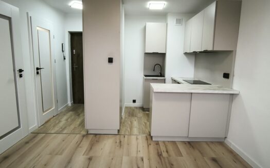 2 pokoje po remoncie – koło ASP – al. Chryzantem