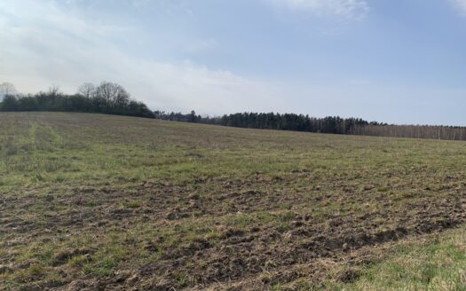 Działki rolne w Pątnowie Legnickim