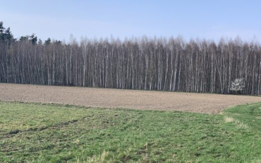 Działki rolne w Pątnowie Legnickim