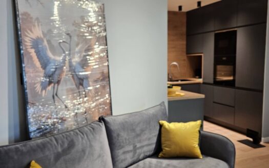 Apartament 3 pokoje z loggią w Hanza Tower