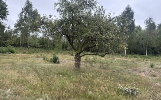 Osiedle Stary Sad, działki budowlane Nasielsk