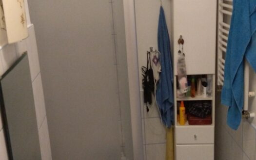 Urokliwe mieszkanie-spokój i natura przy Poznaniu