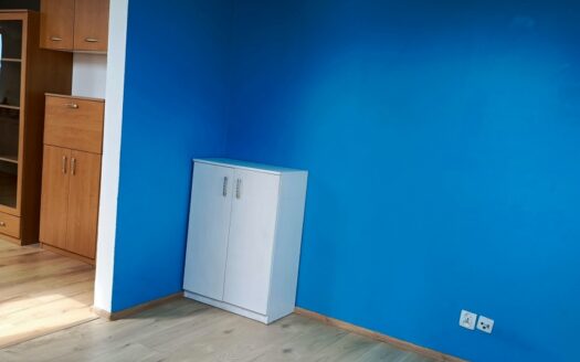 Urokliwe mieszkanie-spokój i natura przy Poznaniu