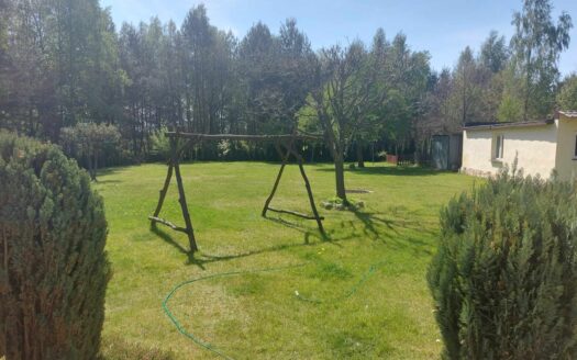 DOM JEDNORODZINNY NA DUŻEJ DZIAŁCE