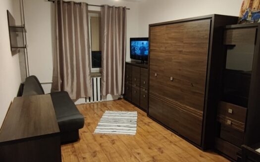 Mieszkanie w centrum miasta