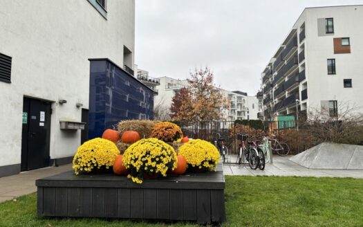 BEZPOŚREDNIO na wynajem, Żoliborz Artystyczny