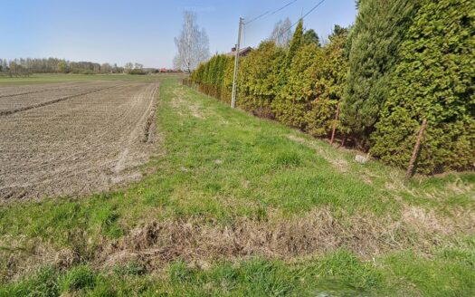 Działka budowlano-usługowa, Dobiesz, asfalt, media