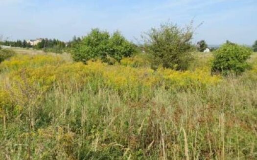 Syndyk sprzeda nieruchomość