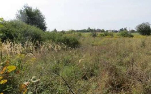 Syndyk sprzeda nieruchomość