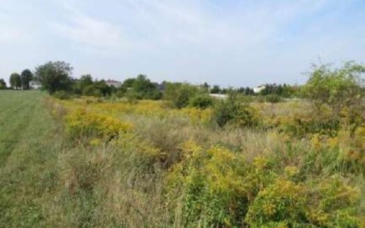 Syndyk sprzeda nieruchomość