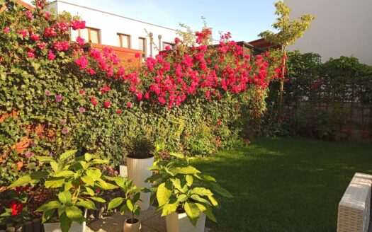 Bezczynszowy segment z ogródkiem obok lasu