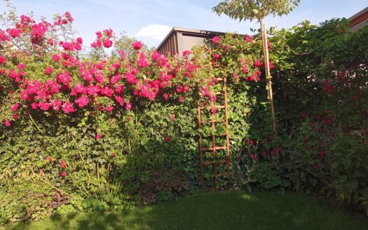 Bezczynszowy segment z ogródkiem obok lasu