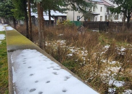 DZIAŁKA BUDOWLANA W CENTRUM SZCZUCZYNA